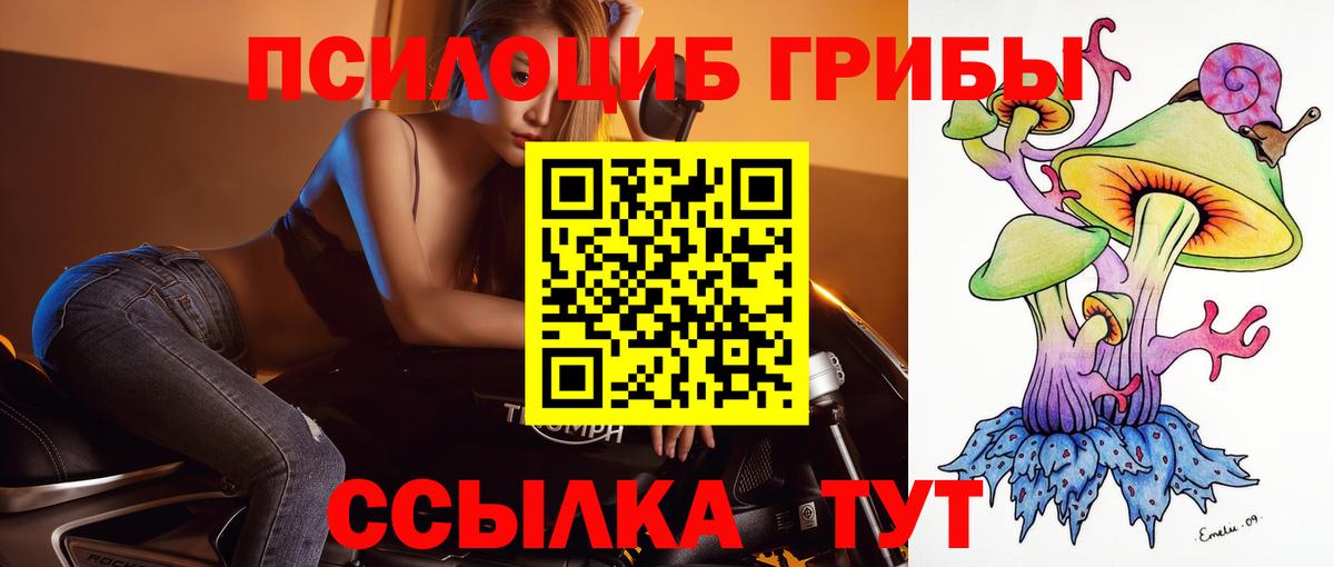 Галлюциногенные грибы GOLDEN TEACHER  Вход с VPN  Нальчик 